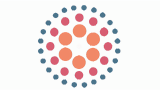 Survey Codings logo